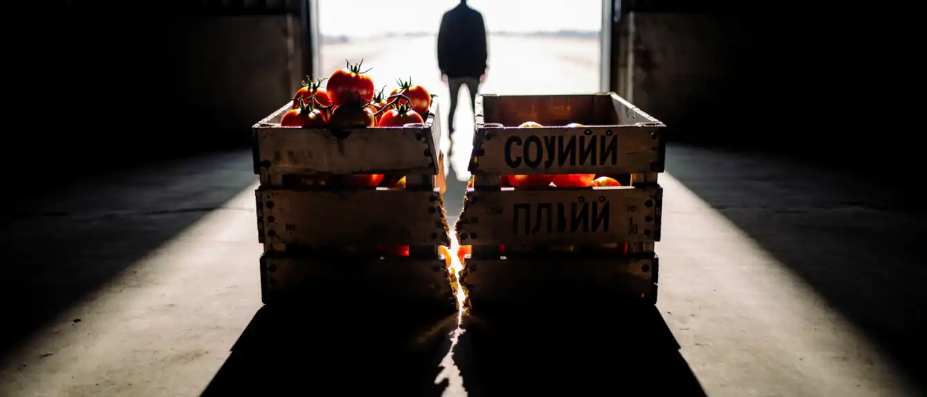 Экономический разрыв или новый союз? Почему торговые споры между Москвой и Ереваном ставят под удар будущее ЕАЭС