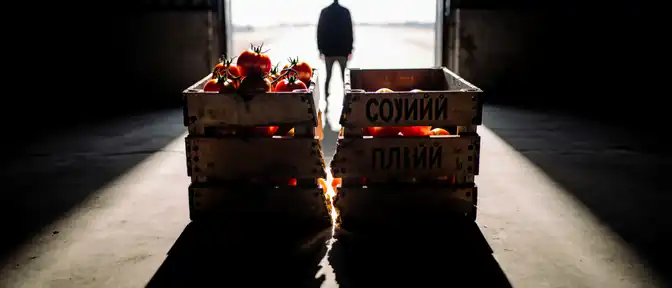 Экономический разрыв или новый союз? Почему торговые споры между Москвой и Ереваном ставят под удар будущее ЕАЭС